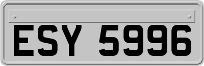 ESY5996