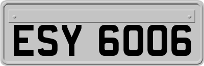 ESY6006