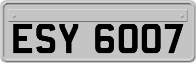 ESY6007