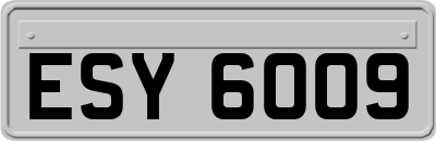 ESY6009