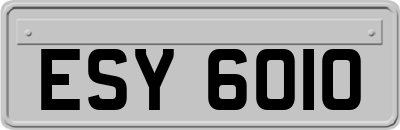 ESY6010