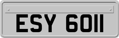 ESY6011