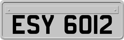 ESY6012