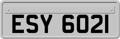 ESY6021