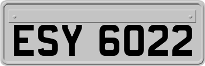 ESY6022
