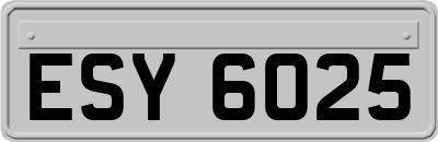 ESY6025
