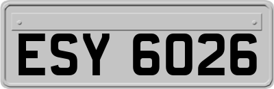 ESY6026