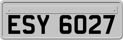 ESY6027