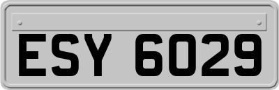 ESY6029