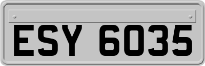 ESY6035