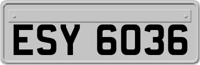 ESY6036