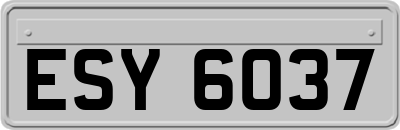ESY6037