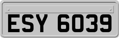 ESY6039
