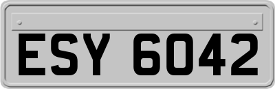 ESY6042