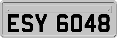 ESY6048