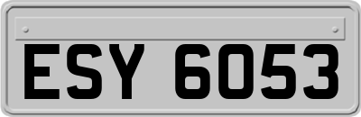 ESY6053