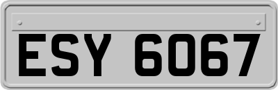 ESY6067