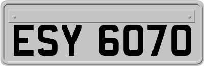 ESY6070