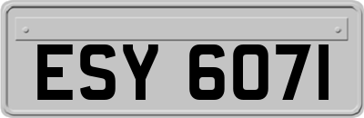 ESY6071
