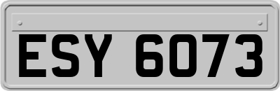 ESY6073