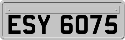 ESY6075