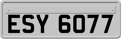 ESY6077