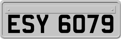 ESY6079