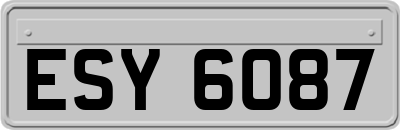 ESY6087