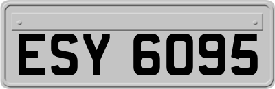 ESY6095