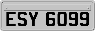 ESY6099
