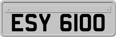 ESY6100