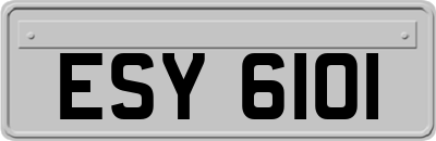 ESY6101
