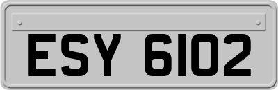 ESY6102