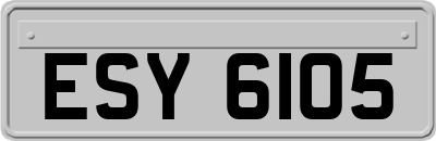 ESY6105