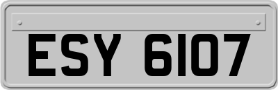 ESY6107