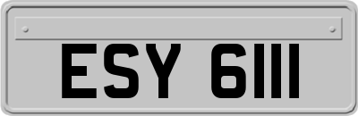 ESY6111