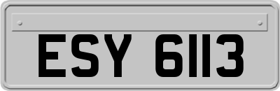 ESY6113