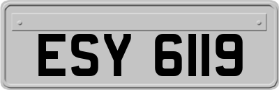 ESY6119