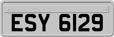 ESY6129