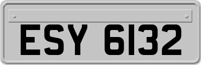 ESY6132