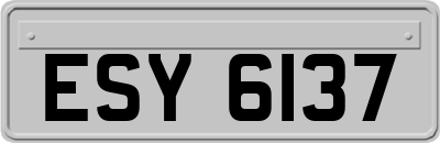 ESY6137
