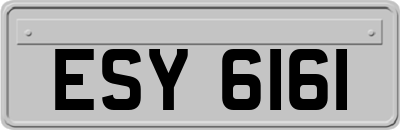ESY6161