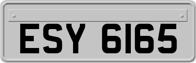 ESY6165