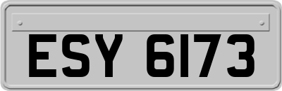 ESY6173