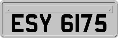 ESY6175