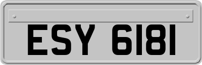 ESY6181