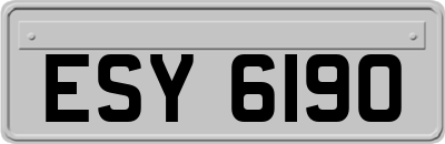 ESY6190