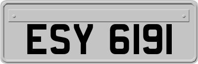 ESY6191