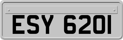 ESY6201