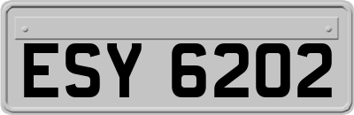 ESY6202
